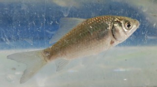 IMG_3468.JPG