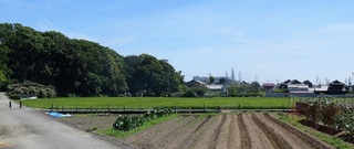 IMG_3691.JPG