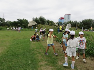 IMG_4066.JPG
