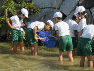 IMG_4180.JPG