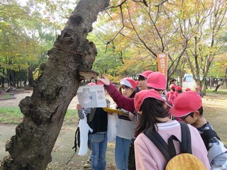 IMG_4321.JPG