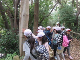 IMG_4336.JPG