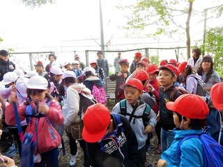 IMG_4341.JPG