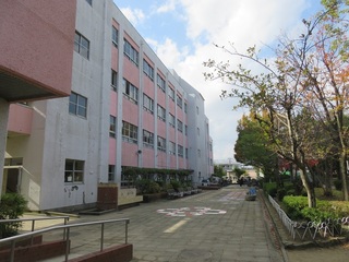 IMG_4414.JPG