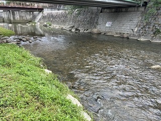 IMG_5086.jpg