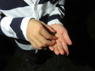 IMG_5322.JPG
