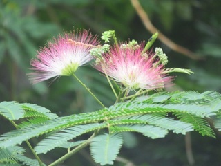 IMG_7877.JPG