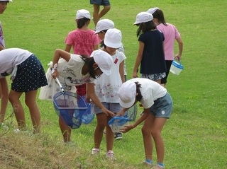 IMG_8460.JPG