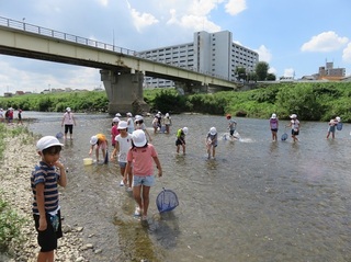 IMG_8464.JPG