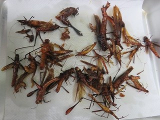 IMG_8679.JPG