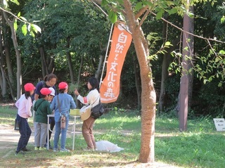 IMG_8687.JPG