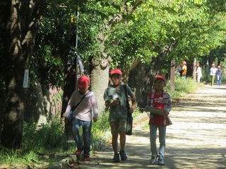 IMG_8688.JPG