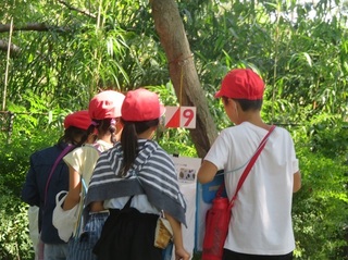IMG_8698.JPG