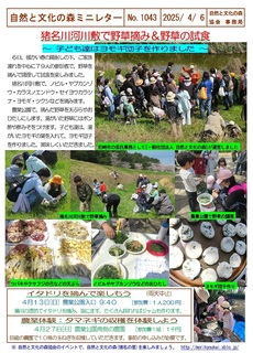 No.1043͐~Ŗ쑐E2025.4.jpg