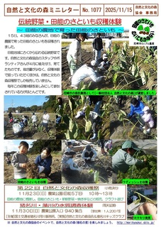 No.1077�`����؁E�c�\�̂��Ƃ������n�̌�2025.11.jpg