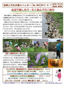 No.594水辺で楽しもう:たくあんでカニ釣り2017.5.jpg