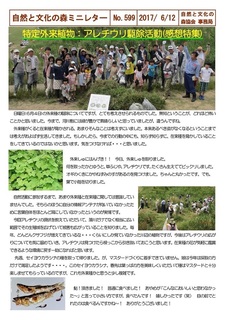 No.599特定外来植物アレチウリ駆除活動(感想特集)2017.6.jpg