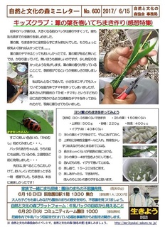 No.600キッズクラブ:葦の葉を巻いてちまき作り(感想特集)2017.6.15.jpg