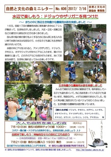No.606水辺で楽しもう:ドジョウやザリガニを見つけた2017.7.jpg