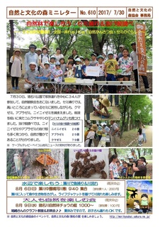 No.610自然林で楽しもう:セミ捕り&抜け殻調べ2017.7.30.jpg