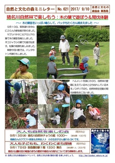 No.621自然林で遊ぼう:木の葉で遊ぼう2017.9.jpg
