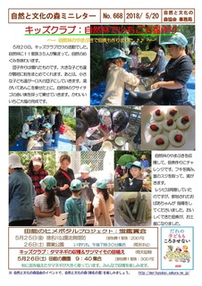 No.668キッズクラブ:自然林でいちご大福作り2018.5.jpg
