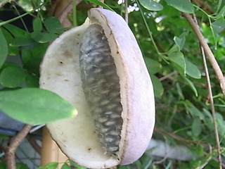 RIMG0020.JPG